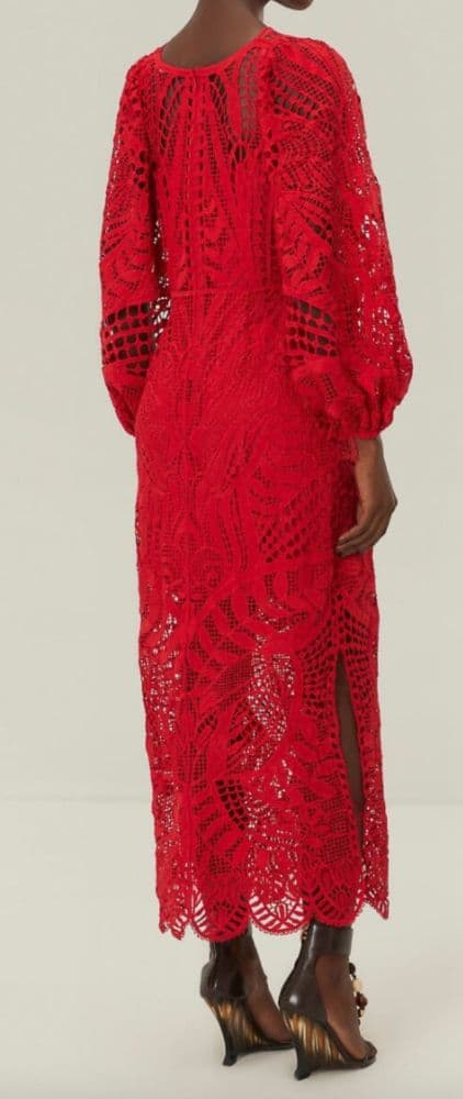 Farm Rio  Nature Guipure Midi-Dress - Image 3