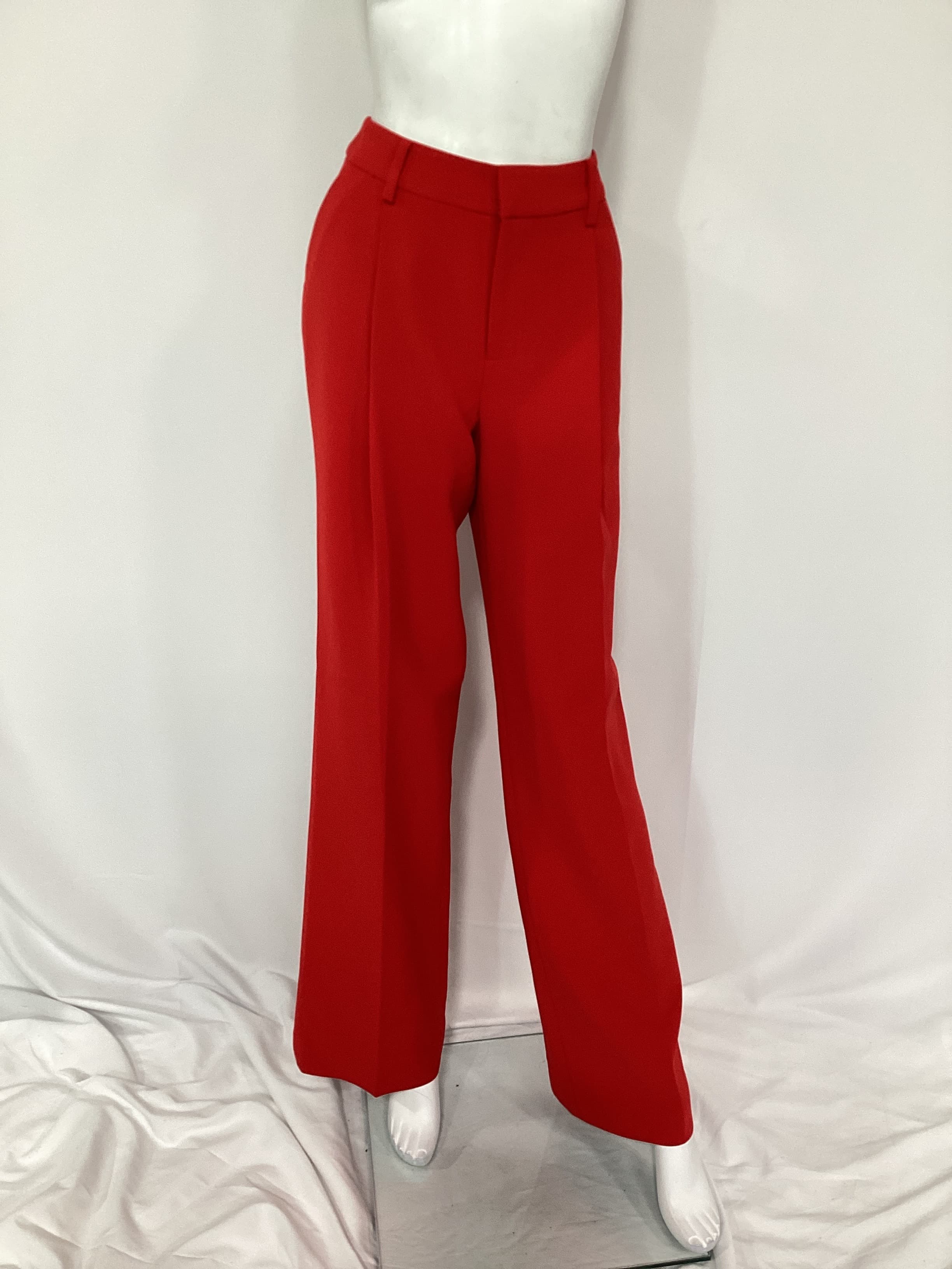 Desi Pant - Image 2