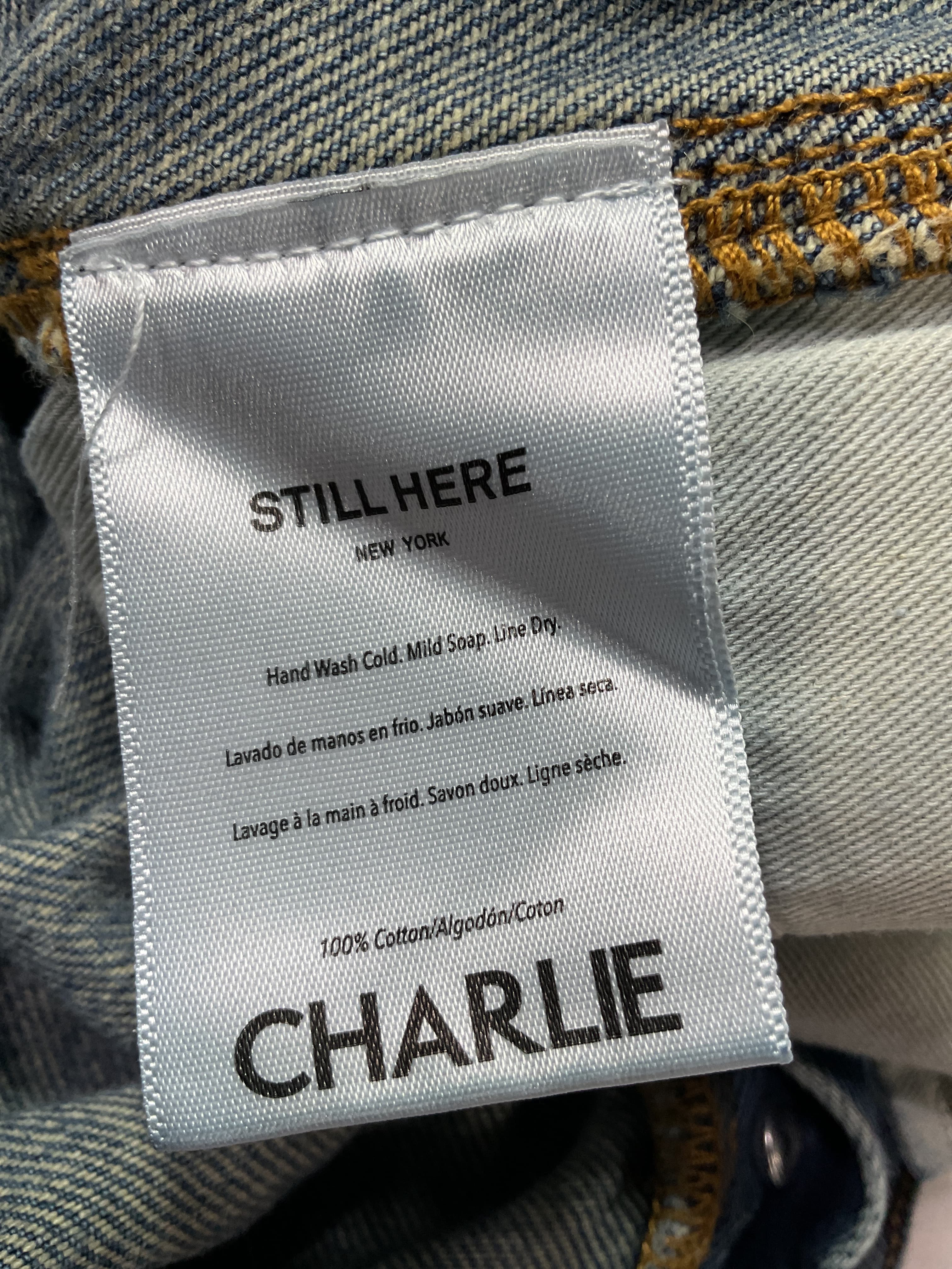Charlie Cargo - Image 3