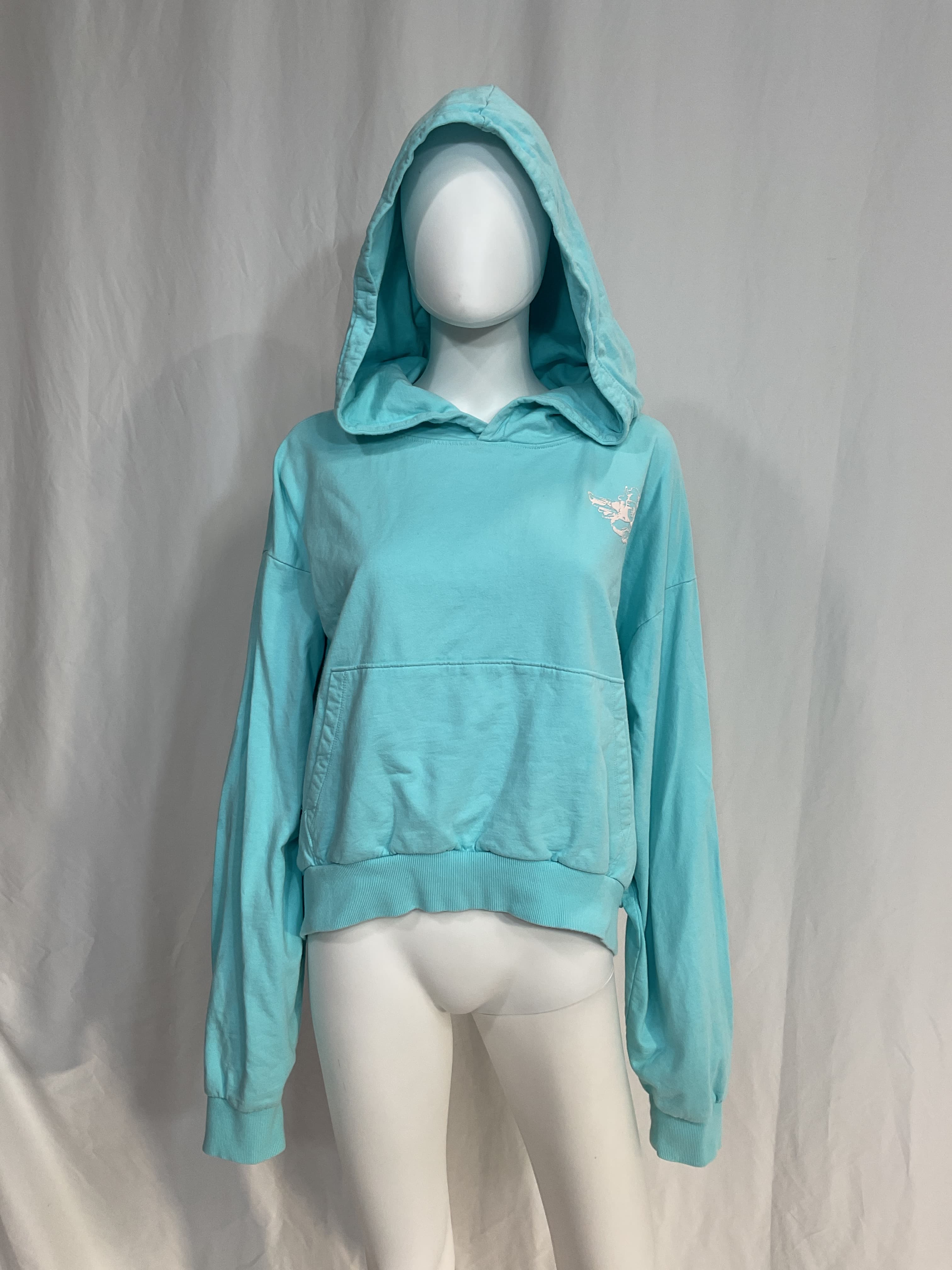 Truth Hoodie In Turquoise - Image 2