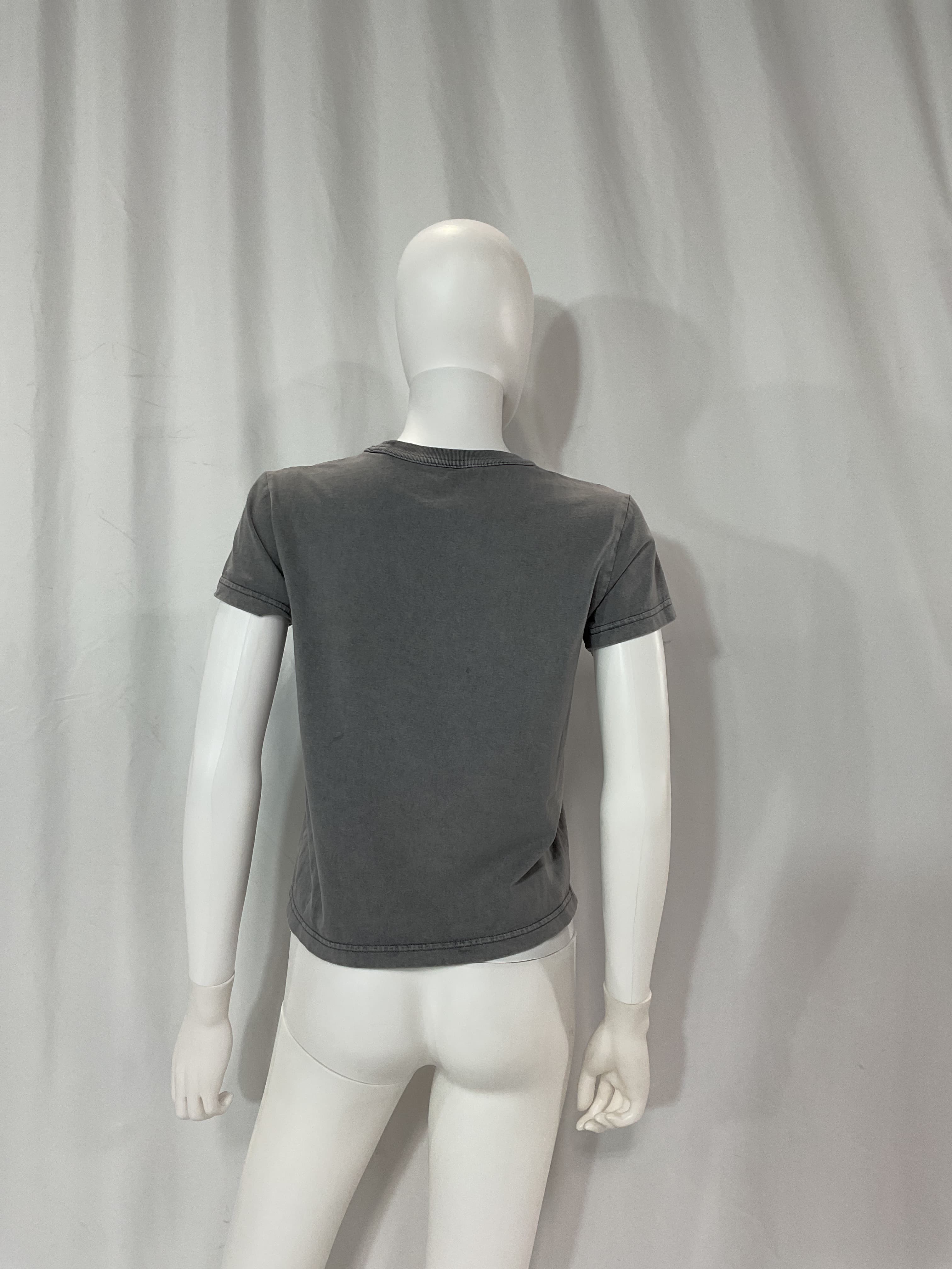 Essential Shrunk Tee In Acid Fog - Image 2