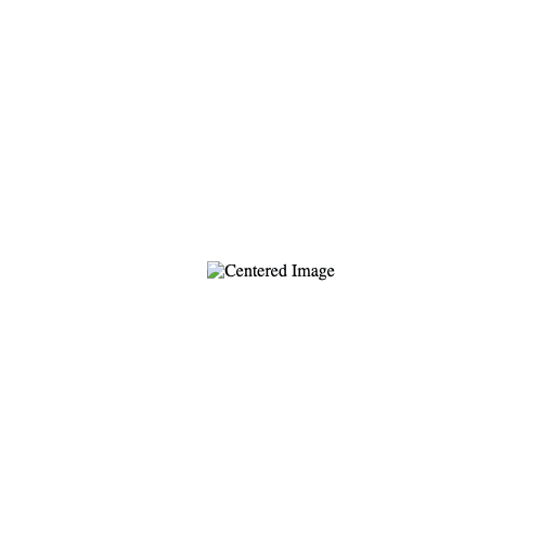 Coated High Waist Slim Kick With Faux Pockets - Image 1