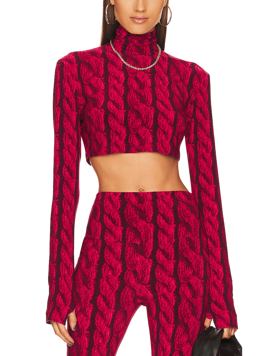 Slimm Fit Turtleneck Cropped Top - Image 1