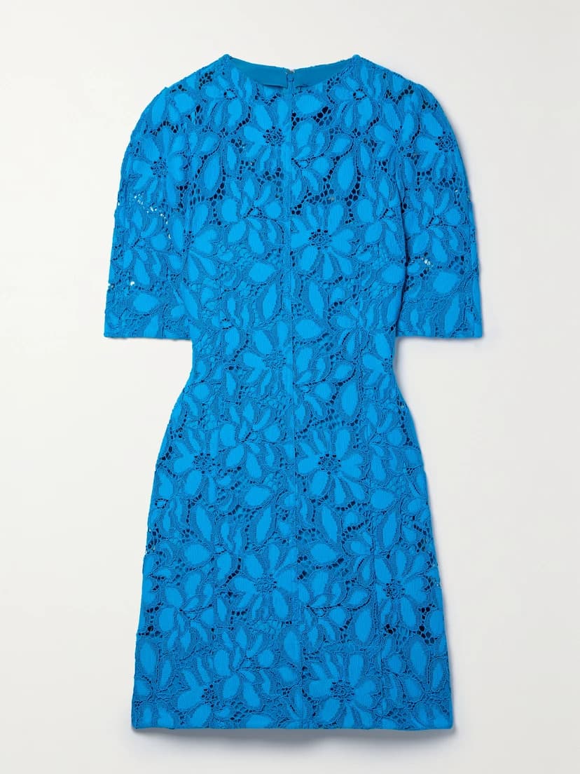 Corded Lace Mini Dress - Image 1