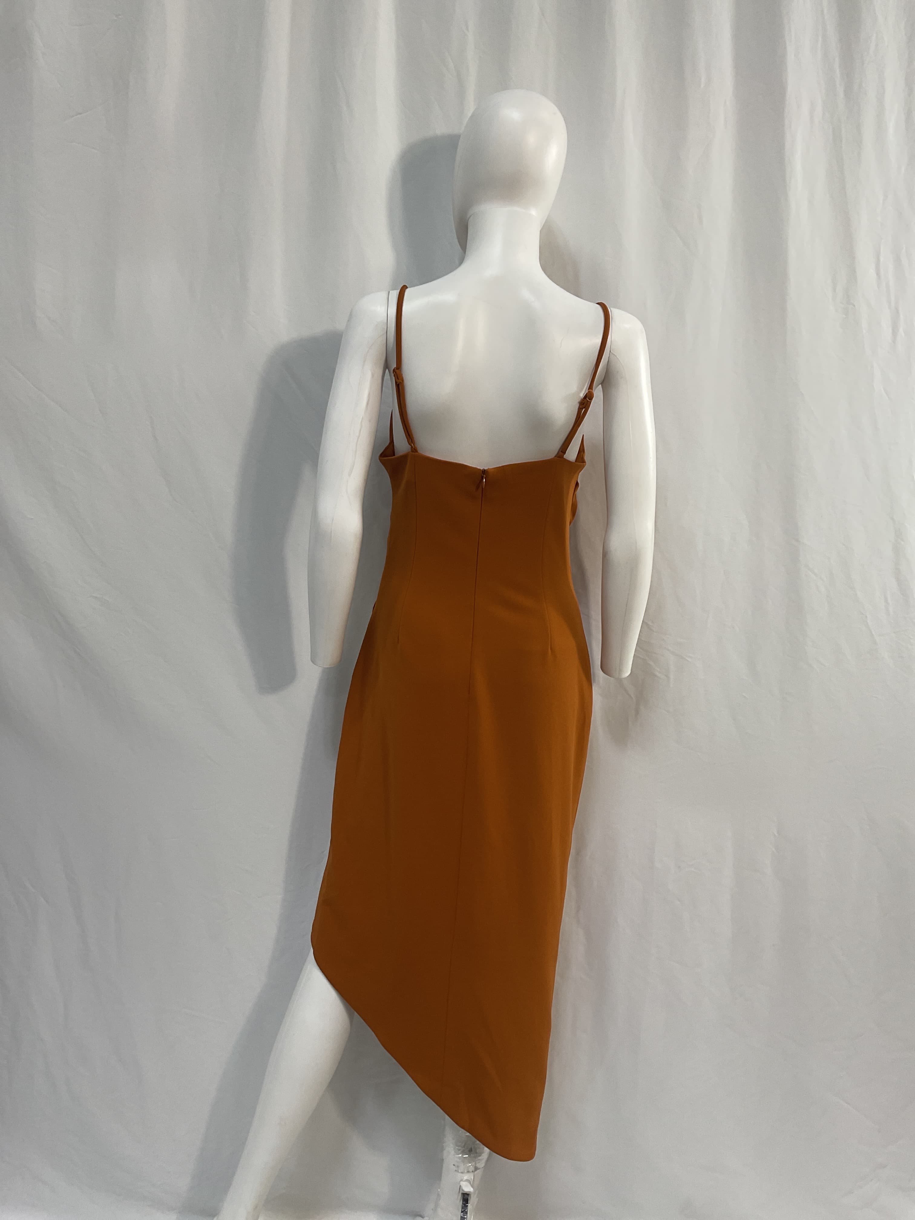 Carissa Dress In Amber - Image 4