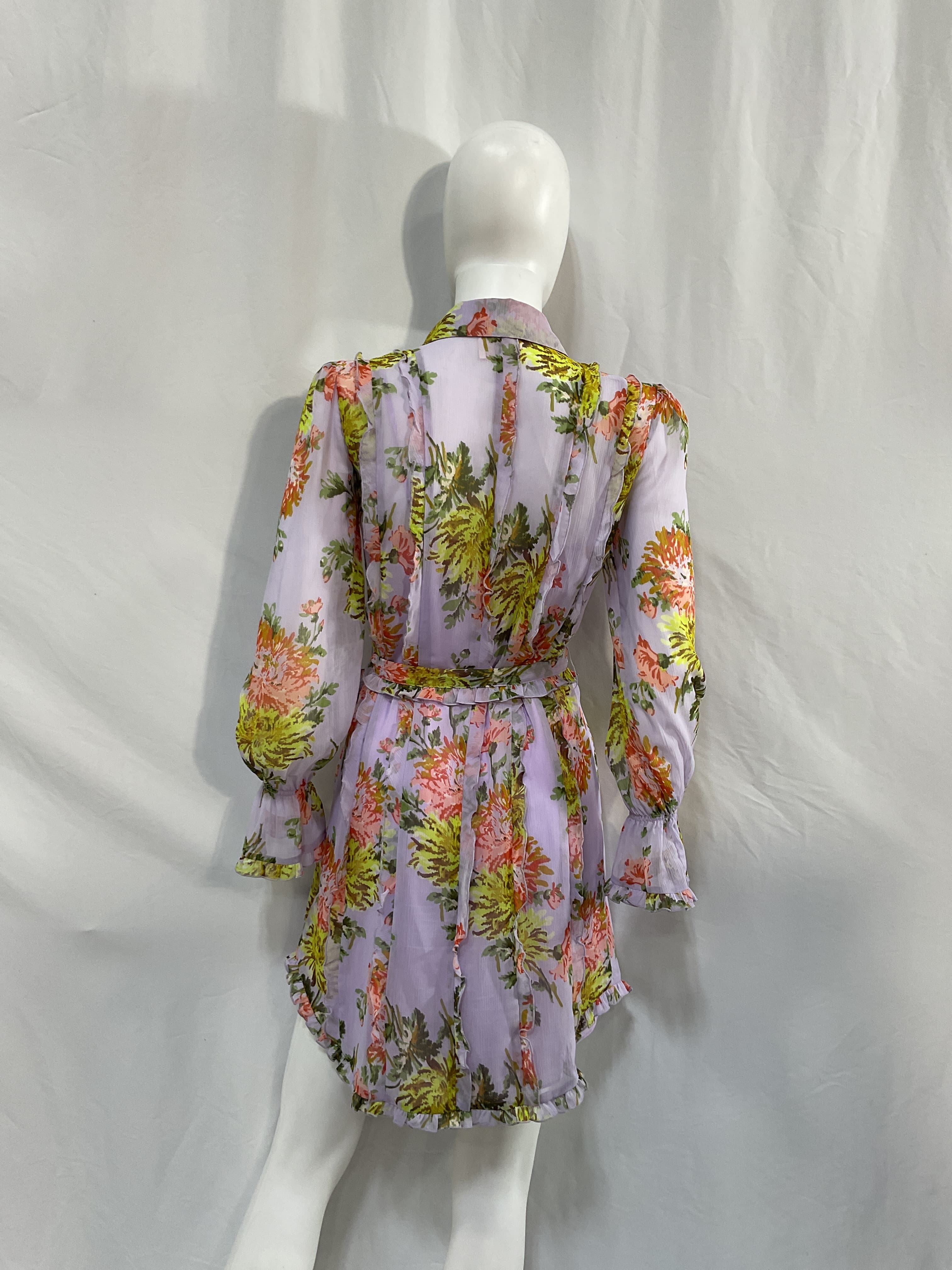 Faded Chrysanthemum Estelle Dress - Image 1