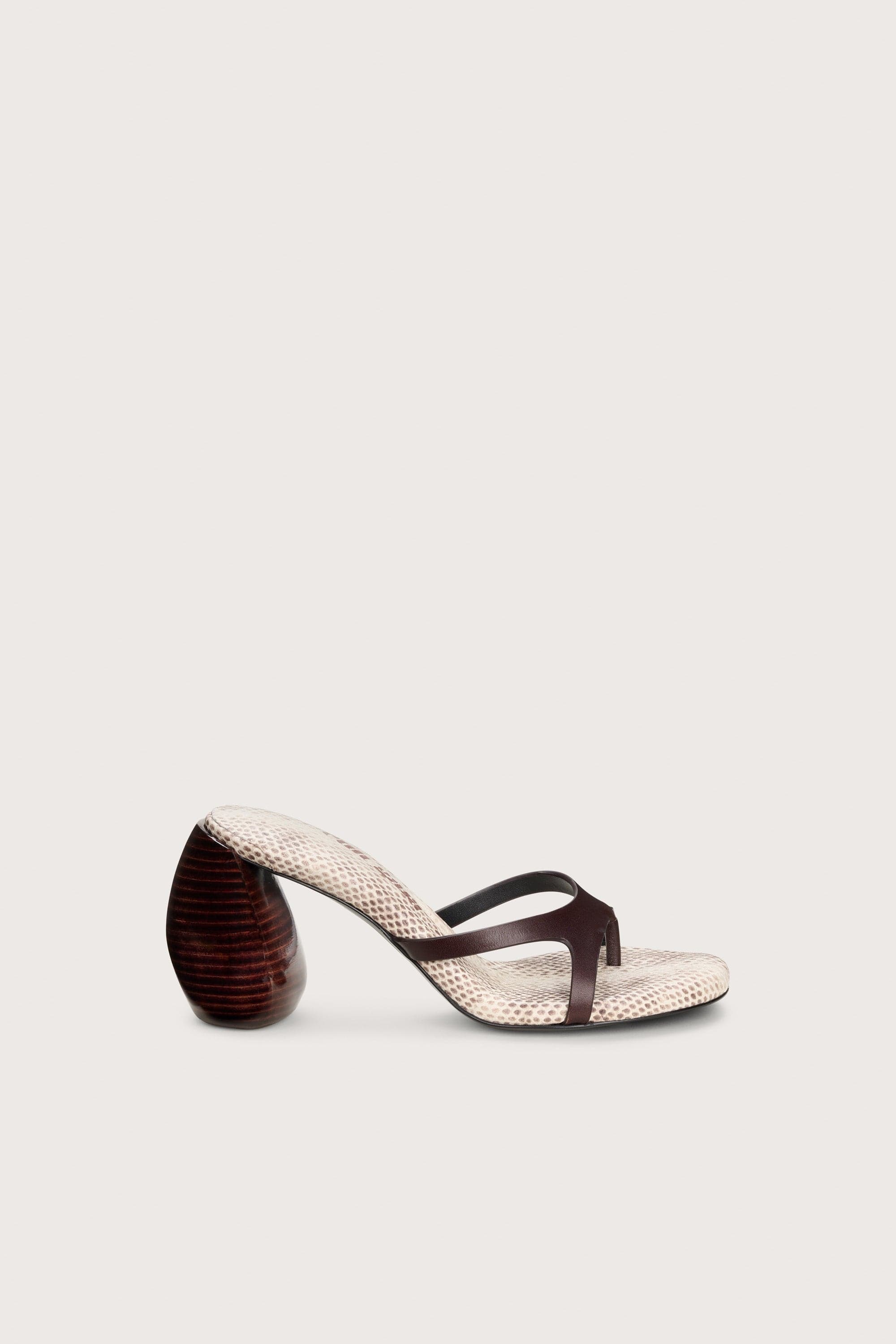 Rory Sandal - Image 1