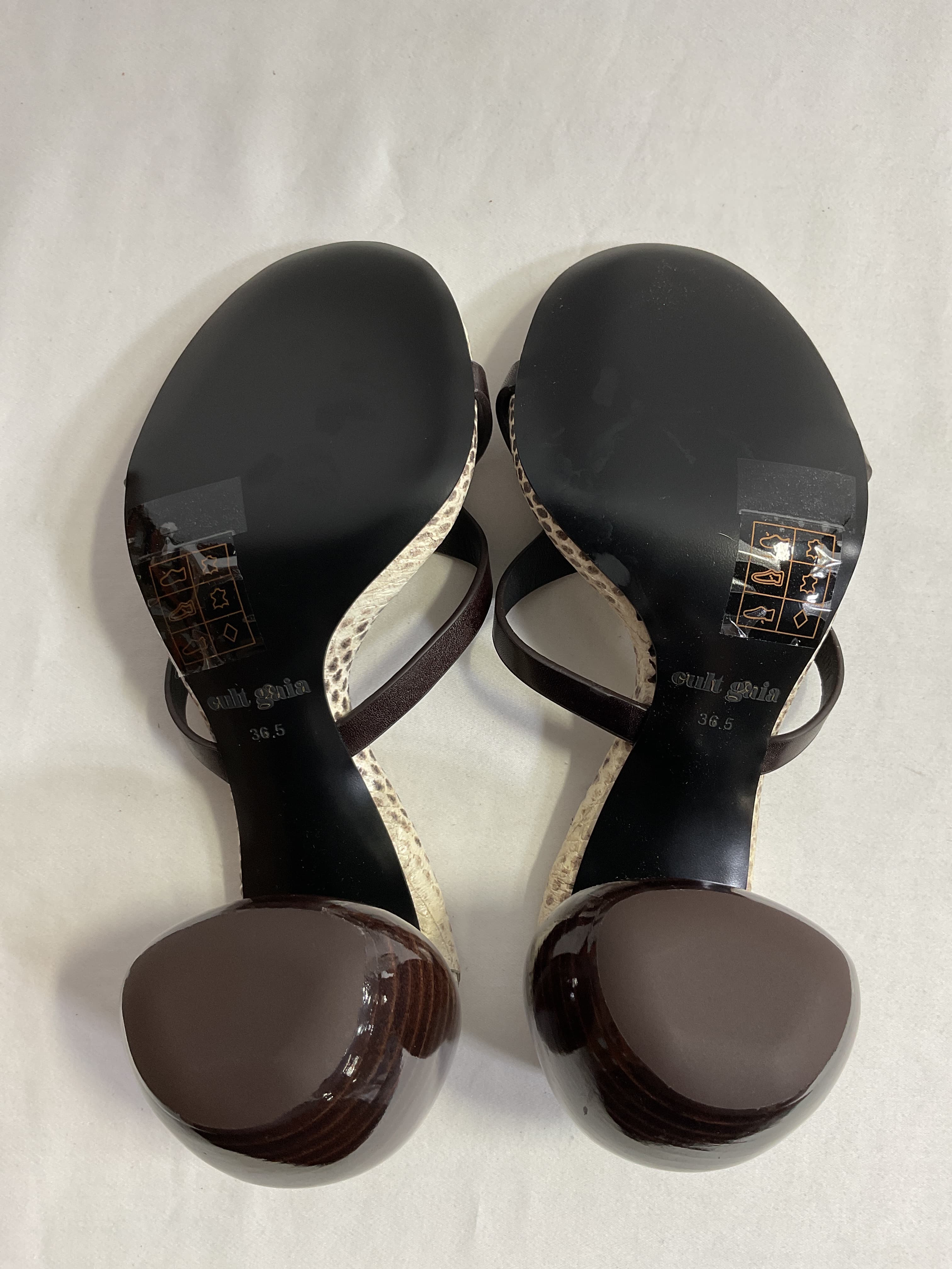 Rory Sandal - Image 3