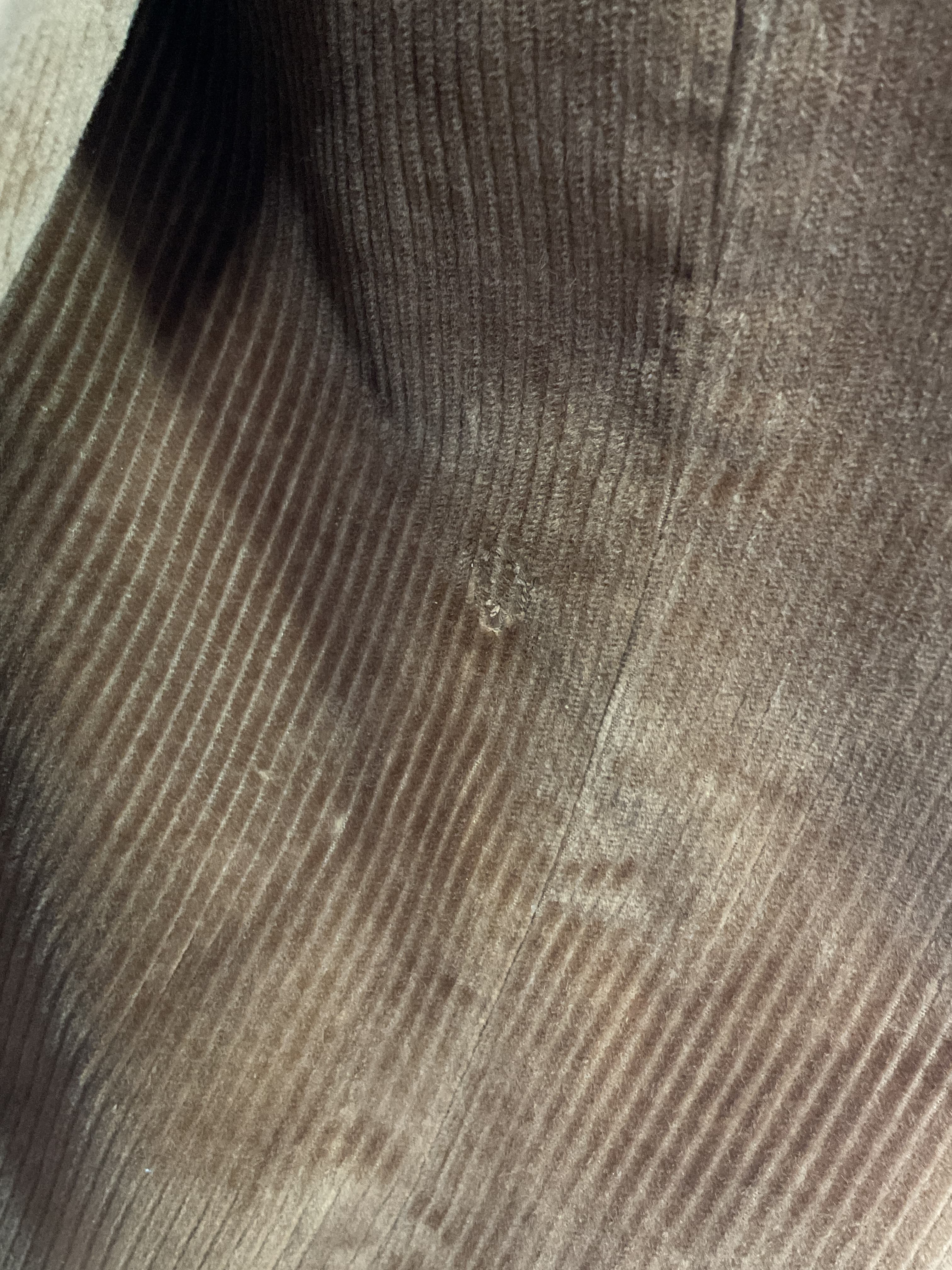 Di Cord Jacket - Image 2