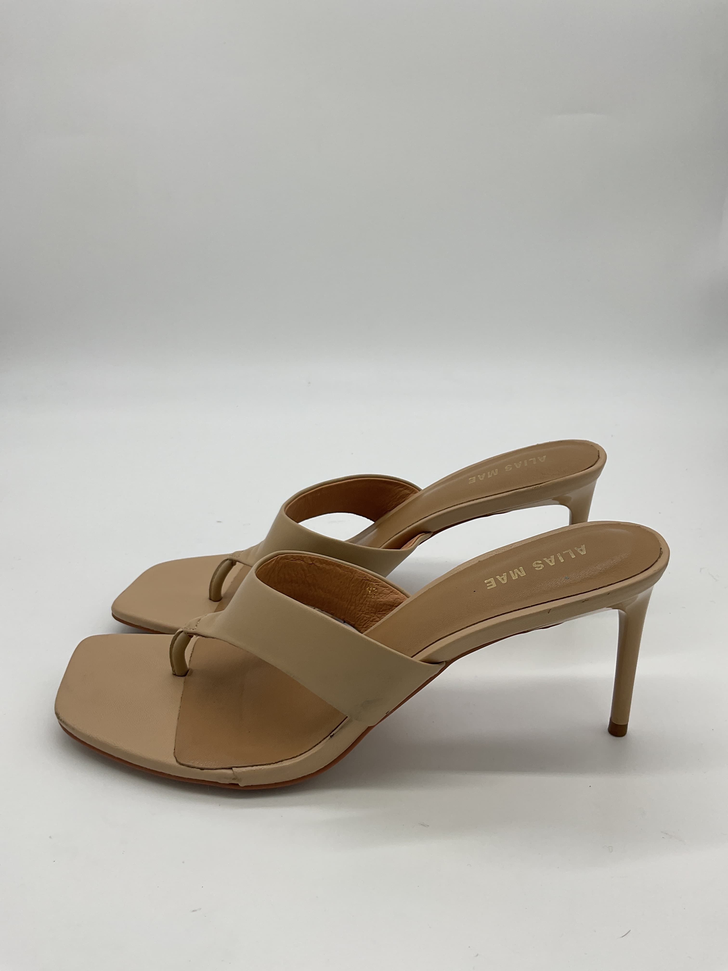 Indi Mule - Image 2