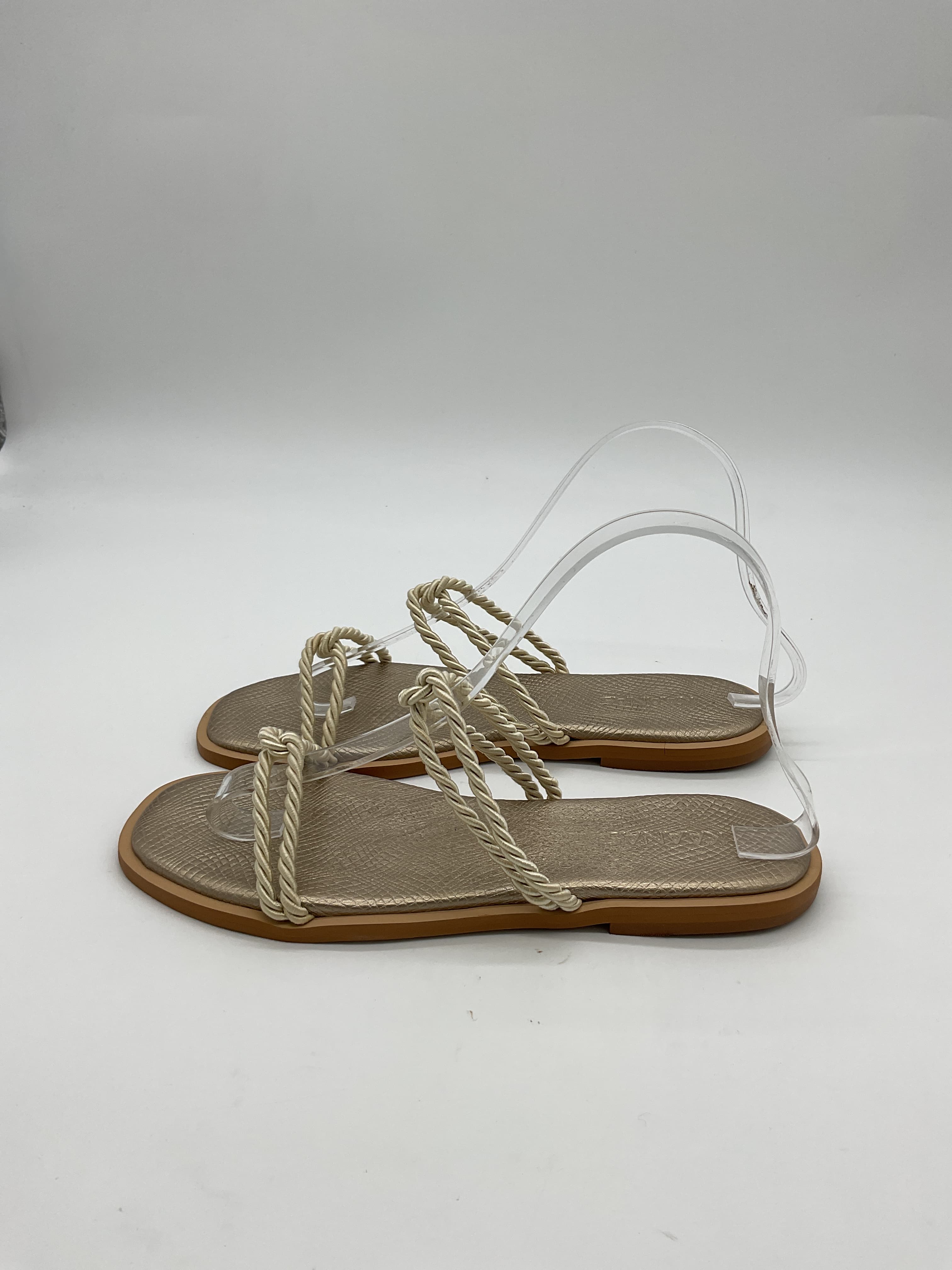 Alicia Slide - Image 3