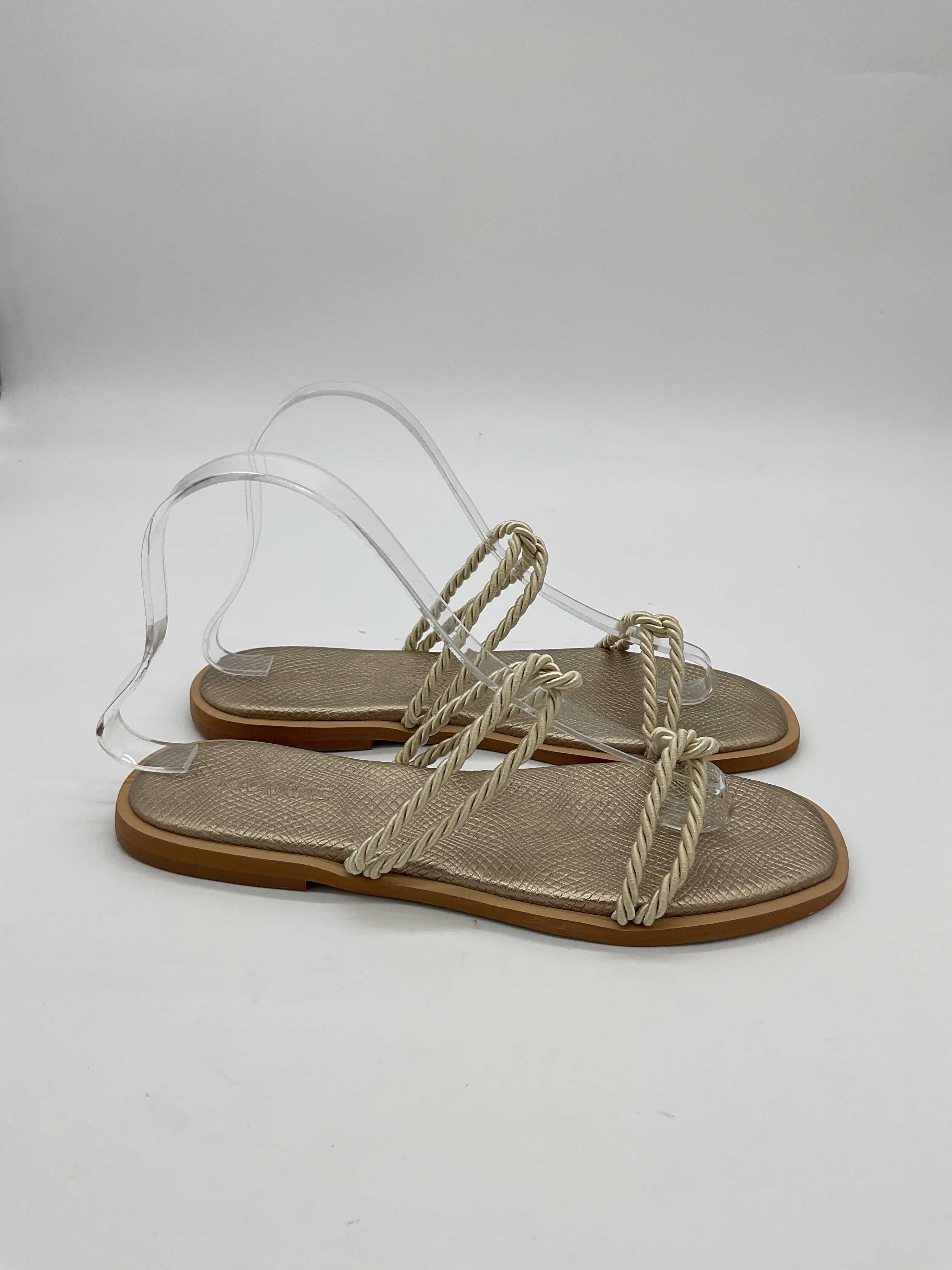 Alicia Slide - Image 2