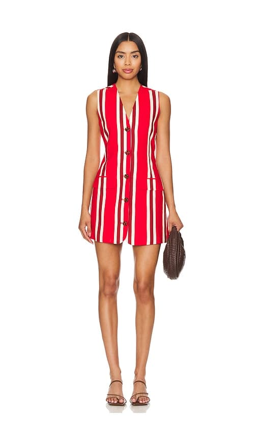 Carob Mini Dress In Moroccan Spice Stripe - Image 1