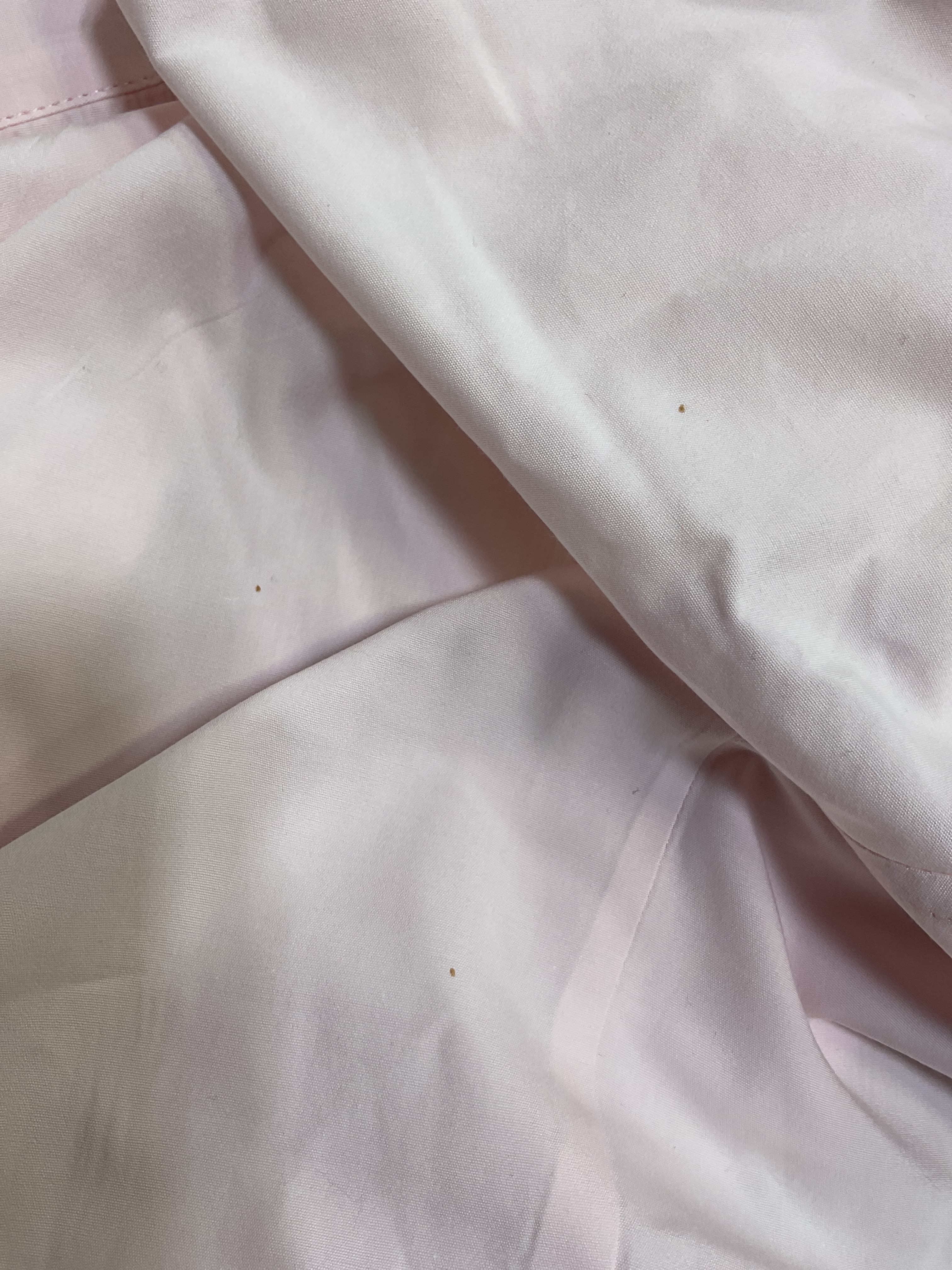 Poplin Slim Fit Shirt With Spread Collar - Image 2