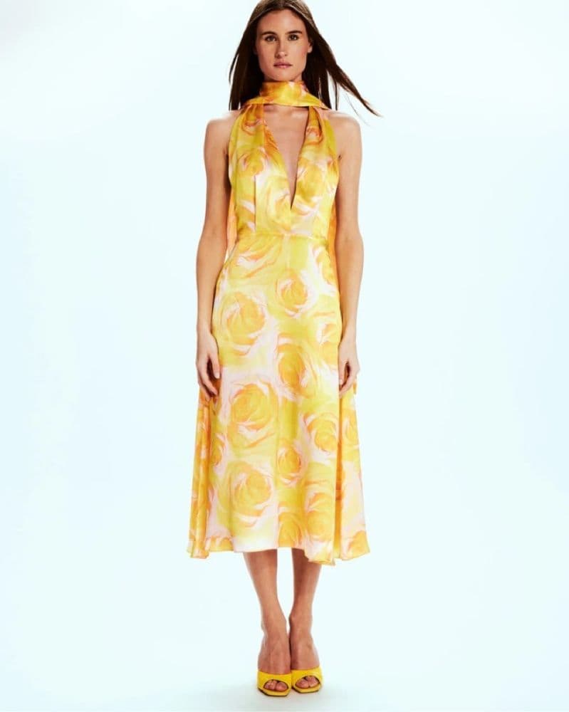 Mirae Paris Camilla Wild Roses Dress - Image 4