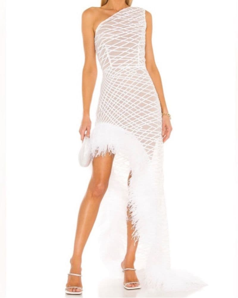 Bronx and Banco Lola Sheer Feather Gown - Image 1
