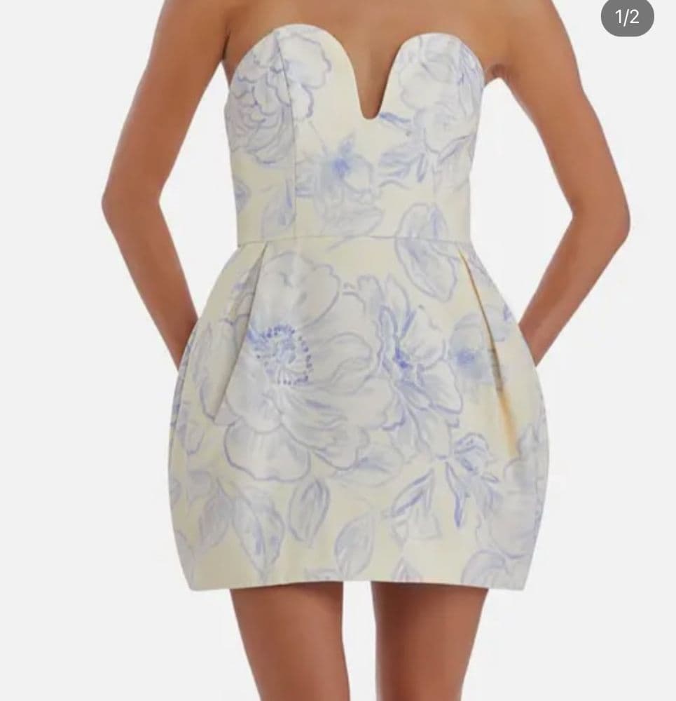 Amanda Uprichard Rosiella Floral Minidress - Image 1