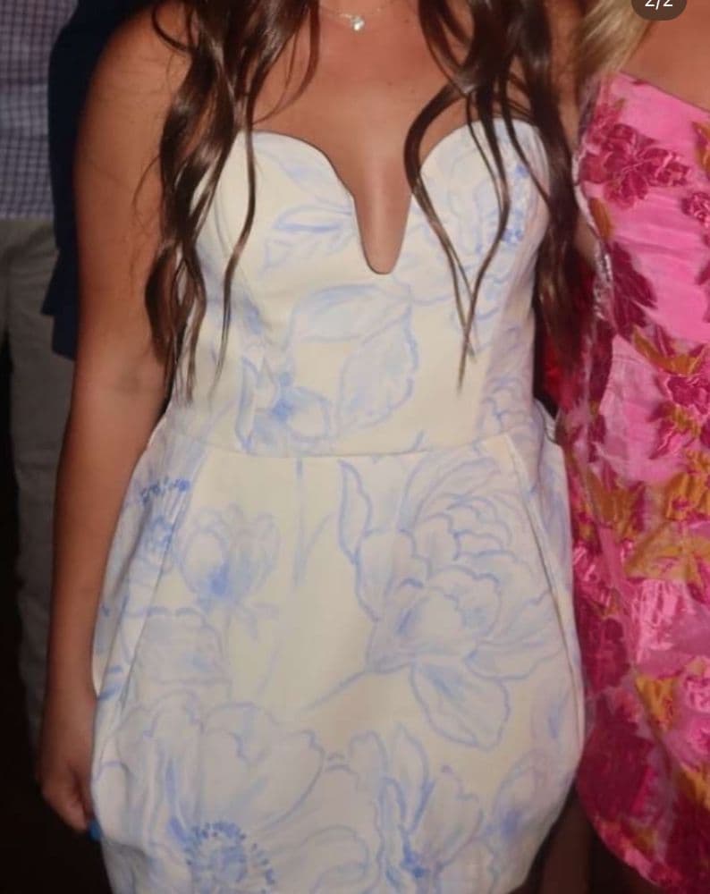 Amanda Uprichard Rosiella Floral Minidress - Image 2