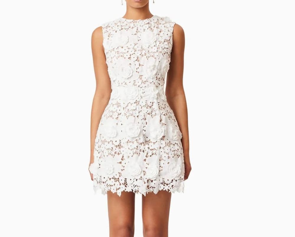 elliat lace mini daffodil mini dress in ivory - Image 1