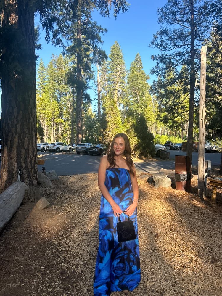 Blue Resa Dress - Image 4