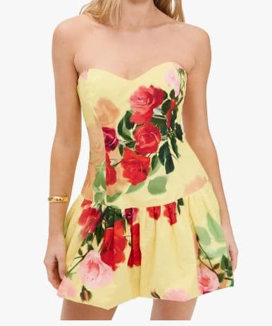 Cara Cara Elena Dress - Image 3