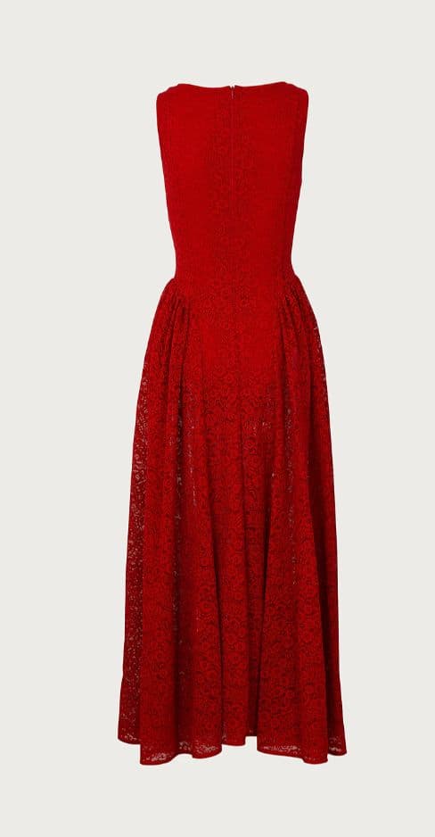 SAME French Lace Midi/Maxi Dress - Image 2