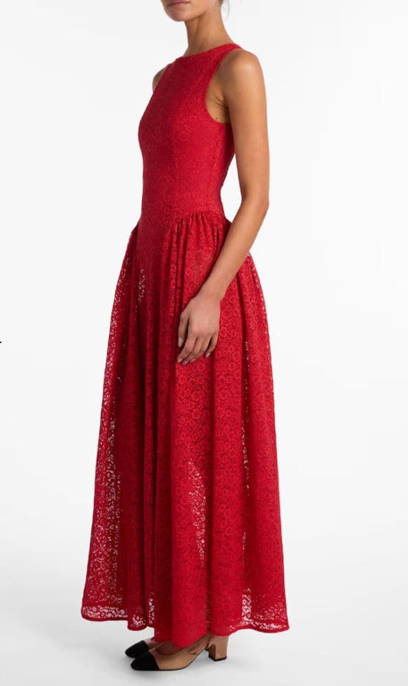SAME French Lace Midi/Maxi Dress - Image 1