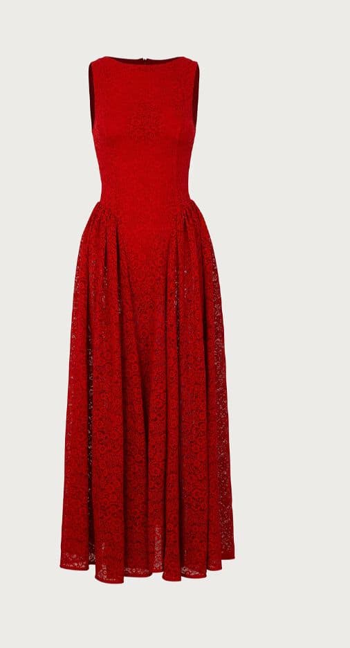 SAME French Lace Midi/Maxi Dress - Image 4