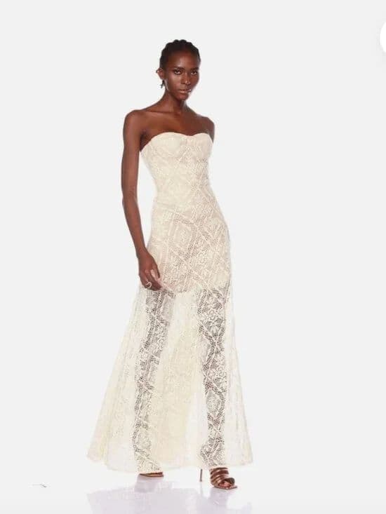 Bronx and Banco Elena Strapless Gown - Image 3