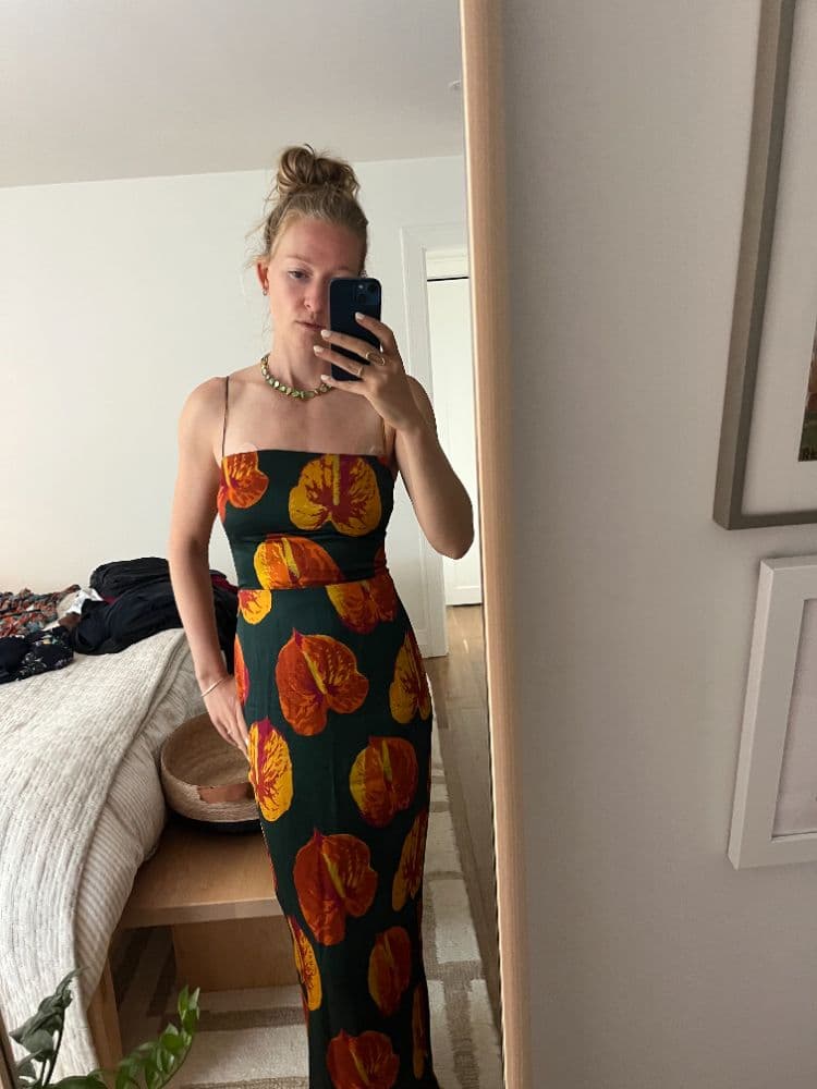 Reformation Frankie Dress - Daiquiri - Size 4 - Silk - Image 2