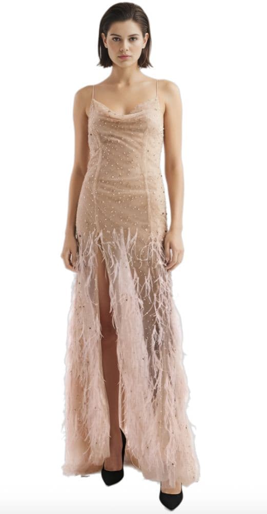 Reve Riche Sheer Embellished Feather Gown - Image 1