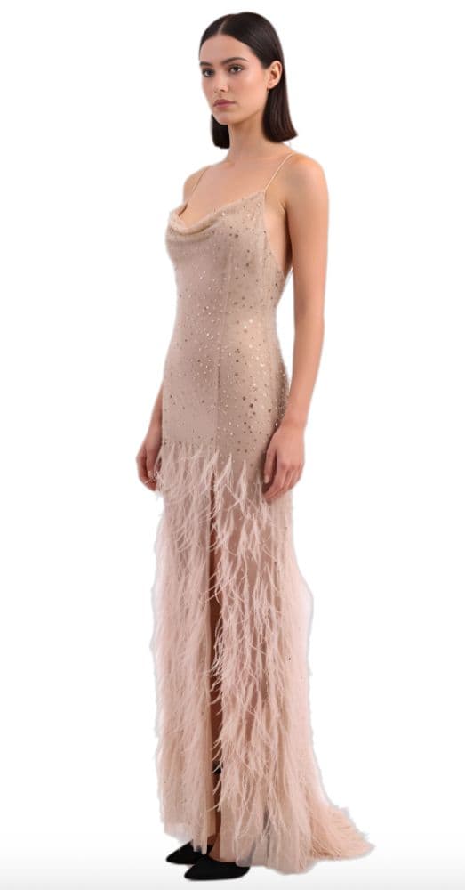 Reve Riche Sheer Embellished Feather Gown - Image 2