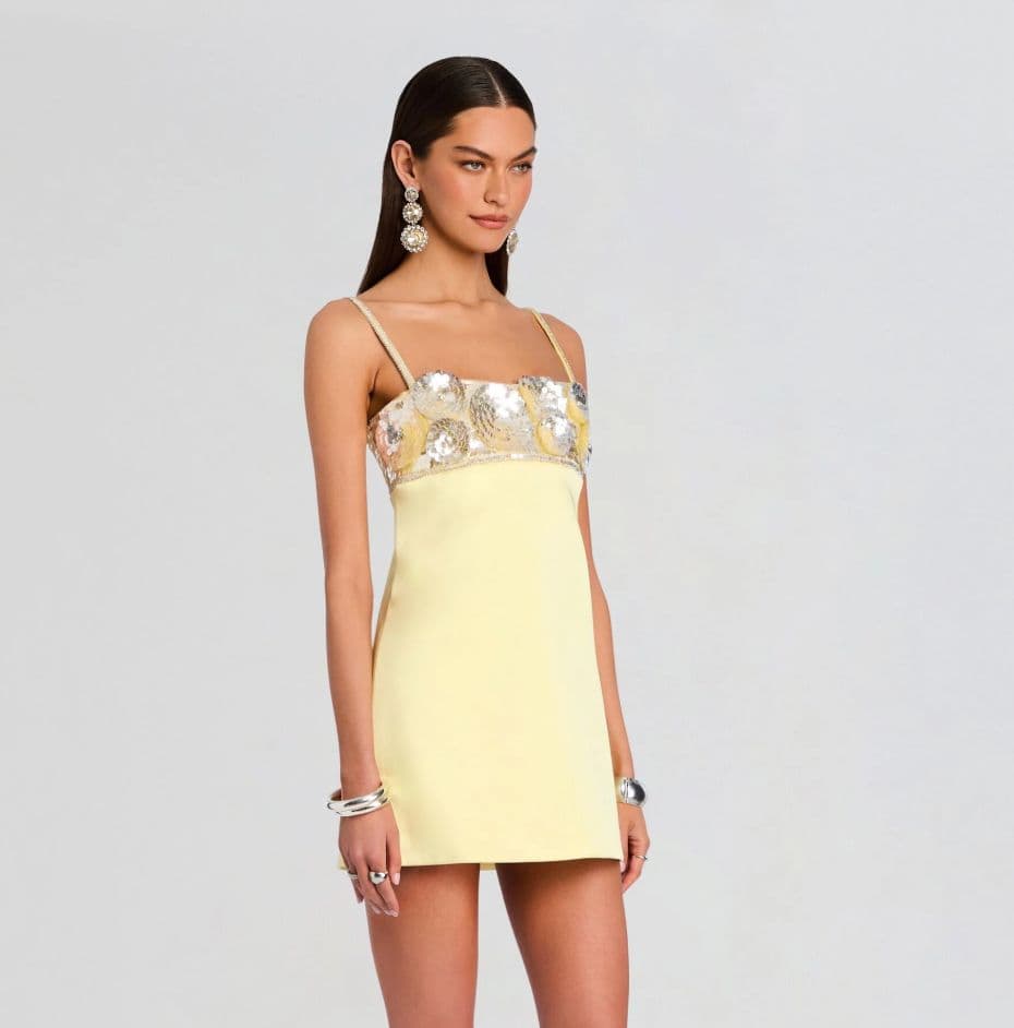 Retrofete Lark Embellished Dress - Image 1