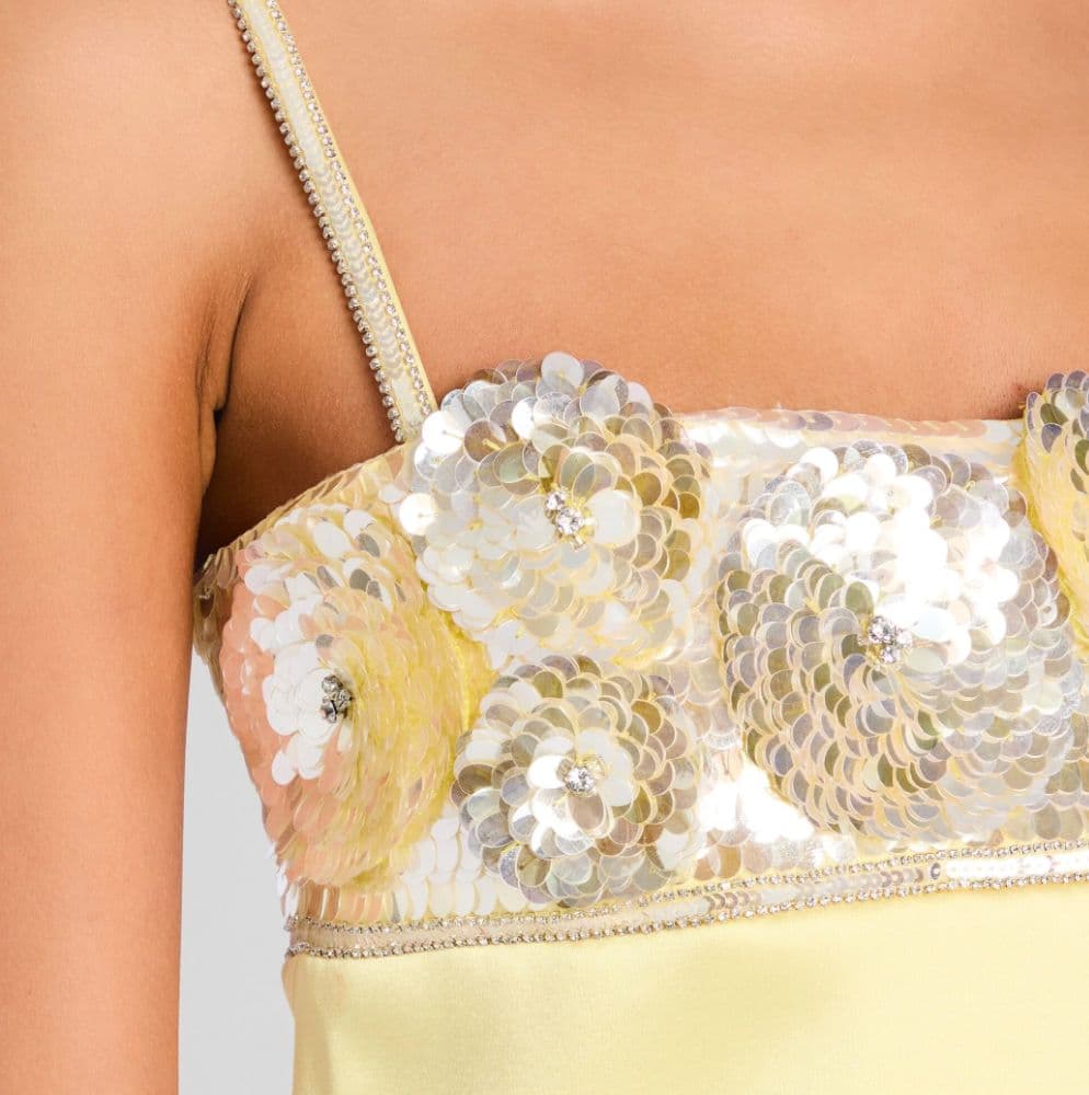 Retrofete Lark Embellished Dress - Image 3