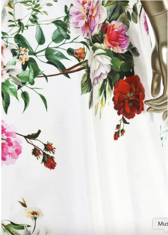 Alex Perry Corseted Floral Mini Dress With Train - Image 5