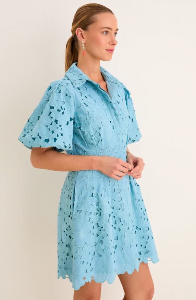 Tuckernuck Cameo Blue Eyelet Mini Delaney Dress - Image 3