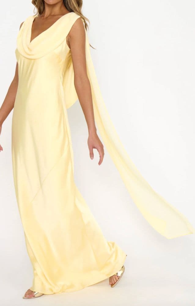 Show Me Your Mumu Maya Maxi Dress - Image 3