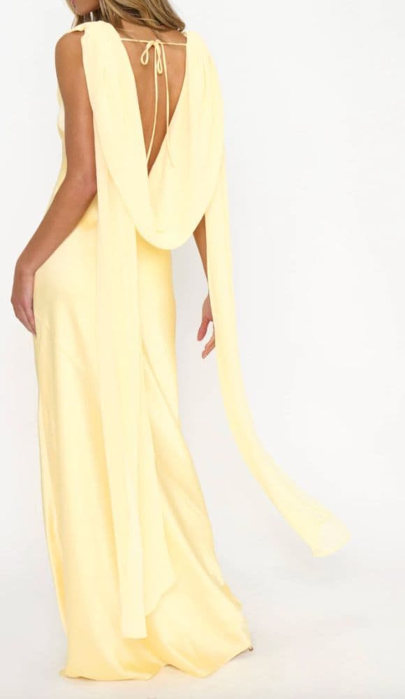 Show Me Your Mumu Maya Maxi Dress - Image 4