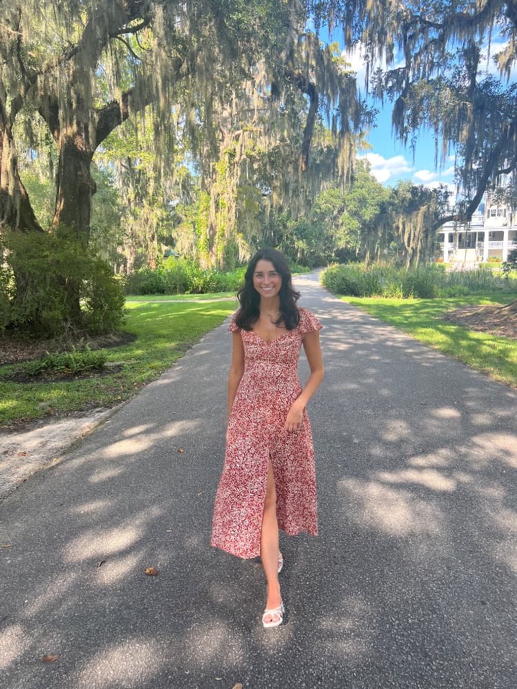 Reformation Baxley Dress - Image 1