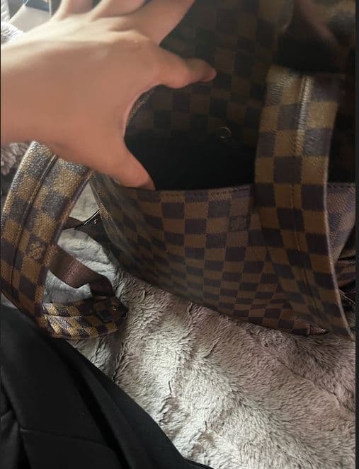 louis vuitton backpack - Image 4