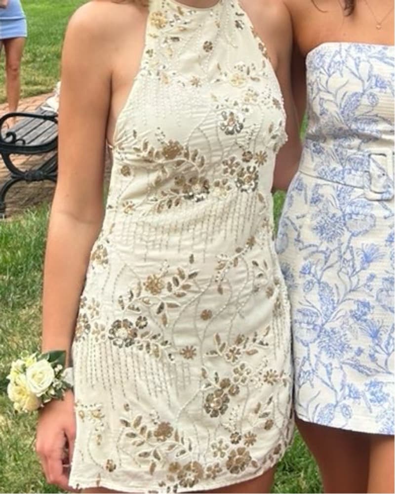 Pepprmayo Leo Beaded Mini Dress - Image 4