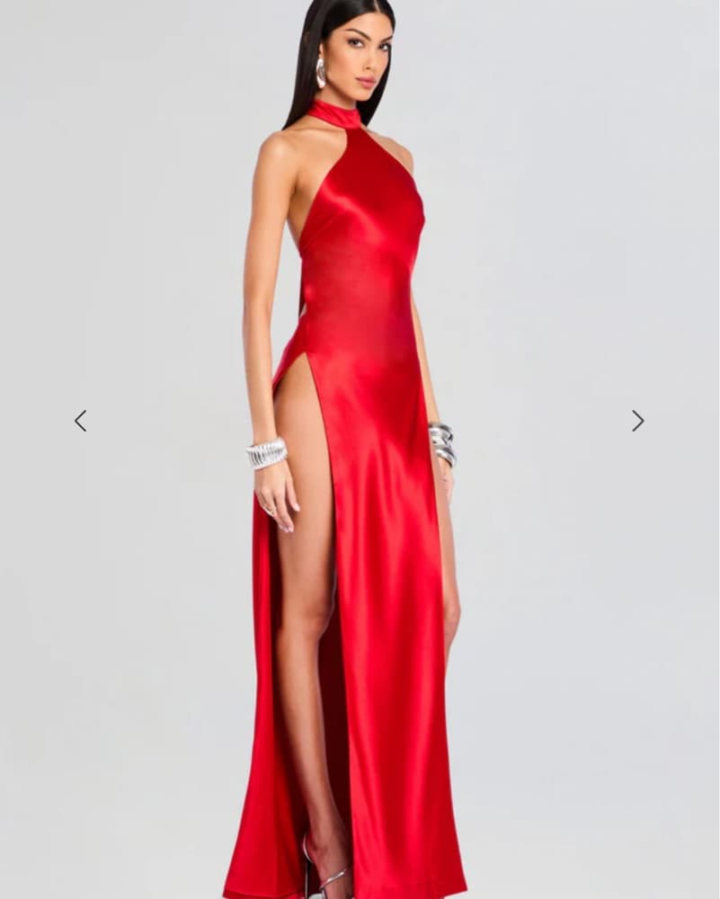 Retrofete Jagger Dress  - Image 3