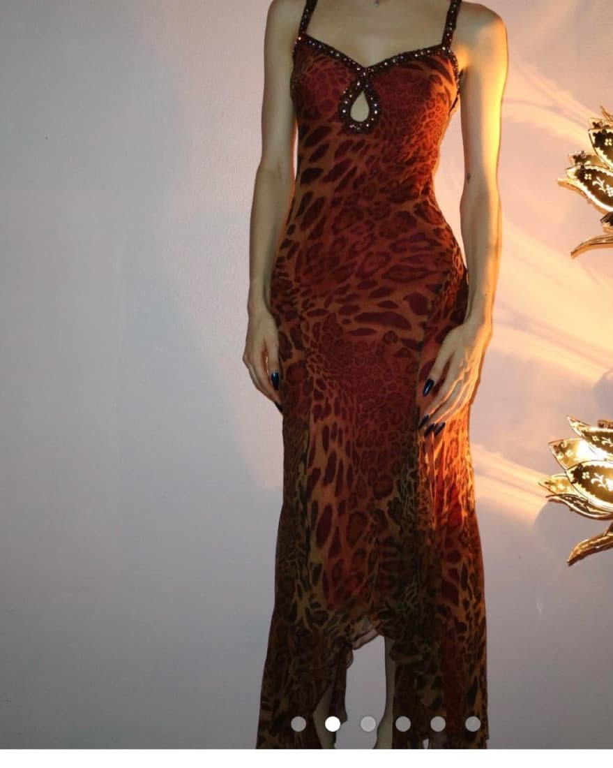 Vintage Beaded Cheetah Dress - Image 5