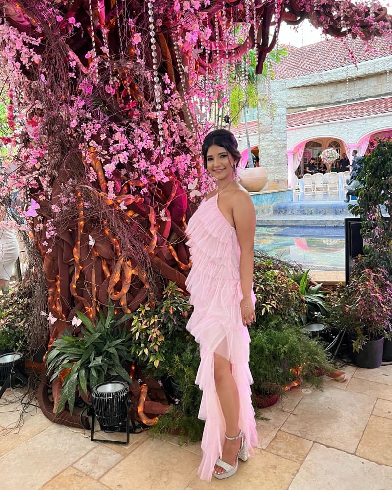 Revolve Henri Gown - Image 4