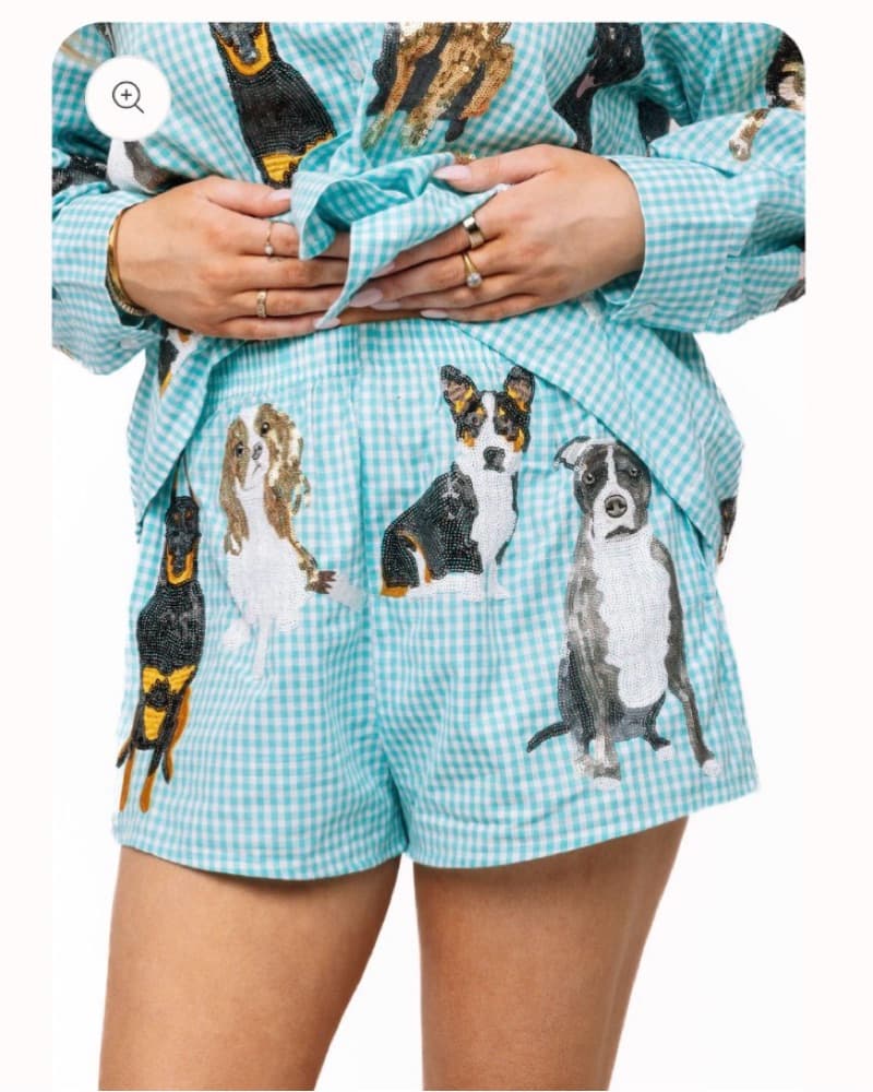 Queen of Sparkles Aqua Gingham Dog Short - Image 1