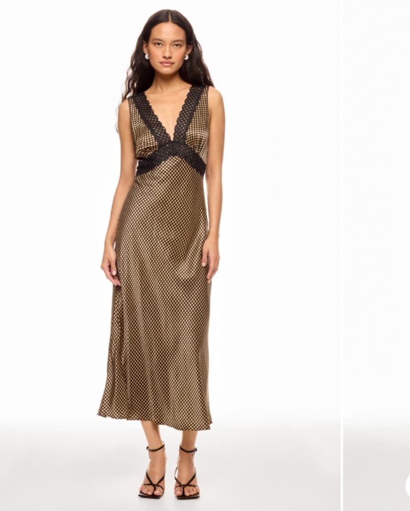 Rails Brown & Black Dress With Lace - Image 1