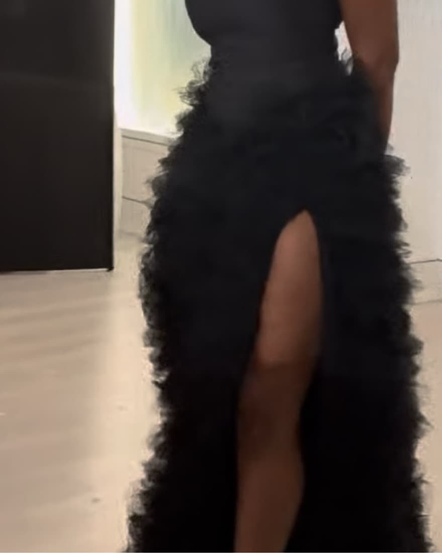 Captivating Feather Embellished Gown - Image 1