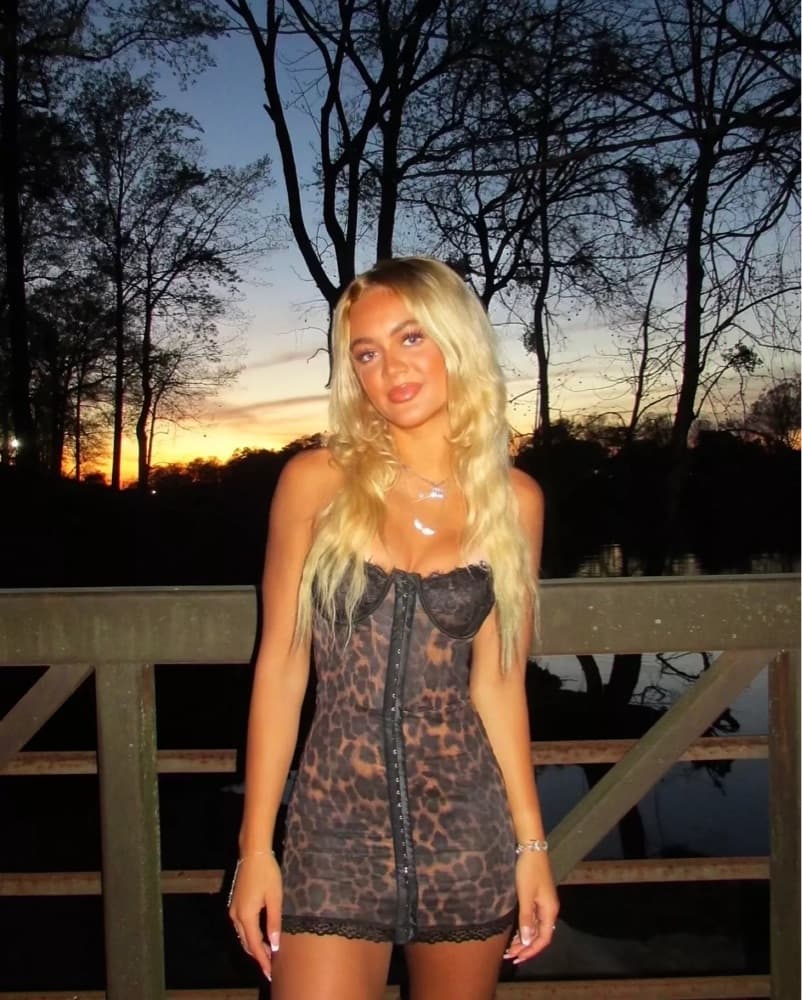 Leopard Print Lace Corset Mini Dress - Image 4