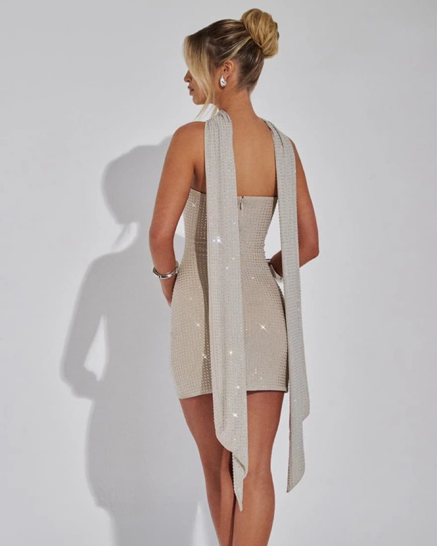 Sparkly Silver / Nude Mini Dress  - Image 2