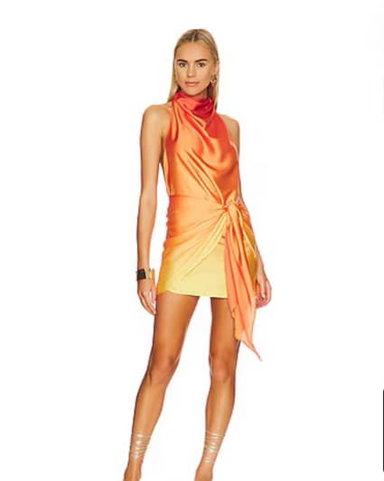 Baobab X REVOLVE Providencia Mini Dress  - Image 1